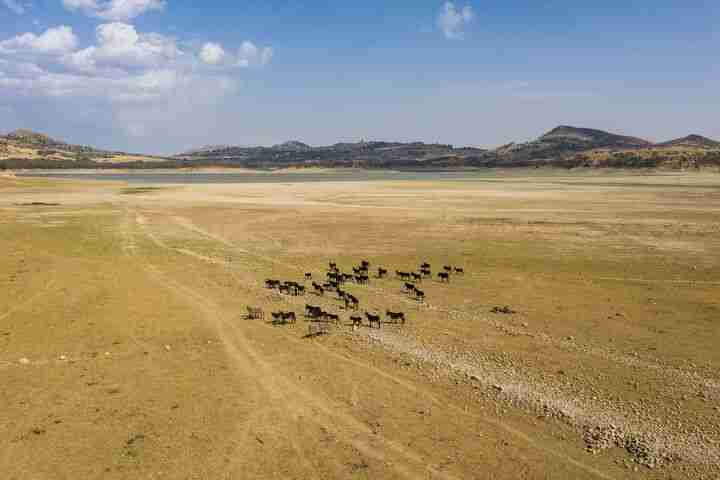lake pozzillo italy drought climate change