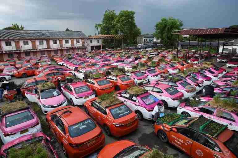 thai taxis vegetable garden covid