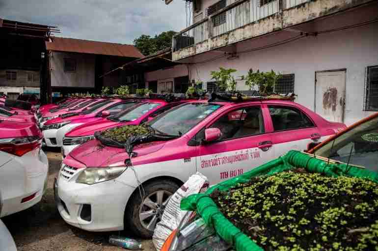 thai taxis vegetable garden covid