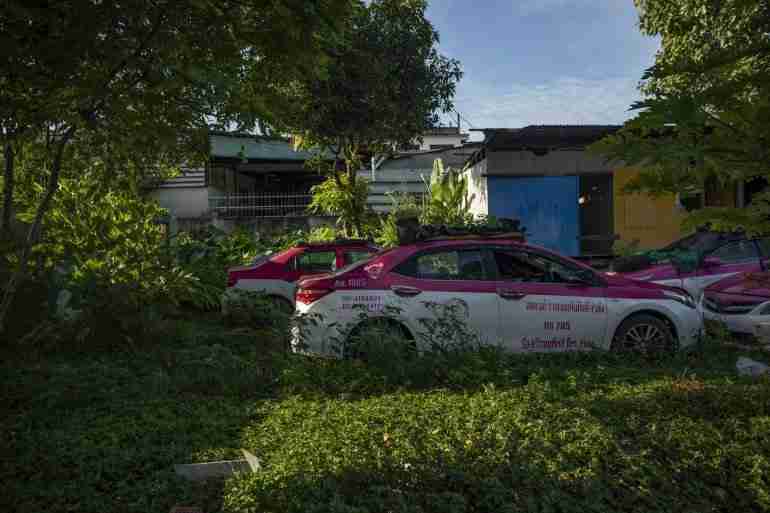 thai taxis vegetable garden covid