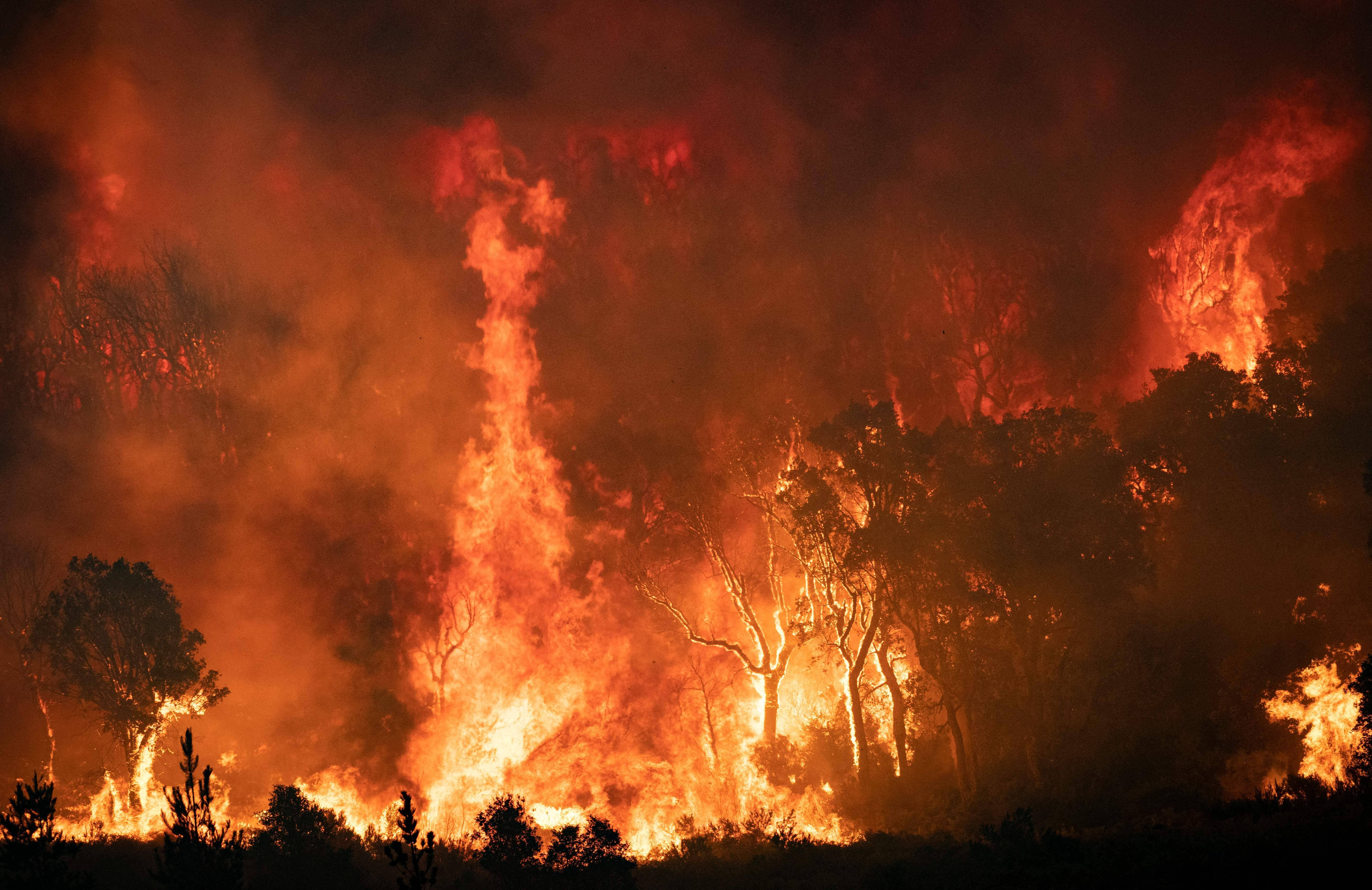 wildfires climate change morocco