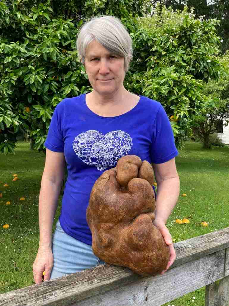 new zealand couple biggest potato gourd tuber