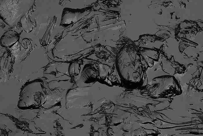 peru ecological disaster animal