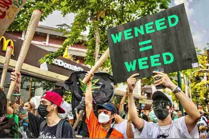 thailand one million cannabis giveaway