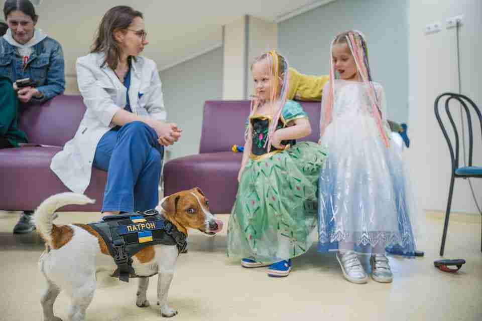 ukraine dog patron bomb medal award