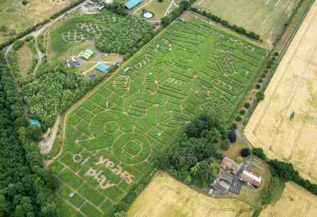 york maze lego tom pearcy uk