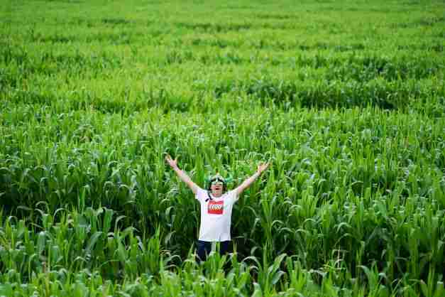 york maze lego tom pearcy uk