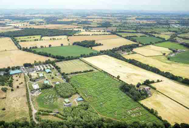 york maze lego tom pearcy uk