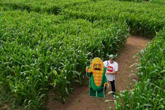york maze lego tom pearcy uk