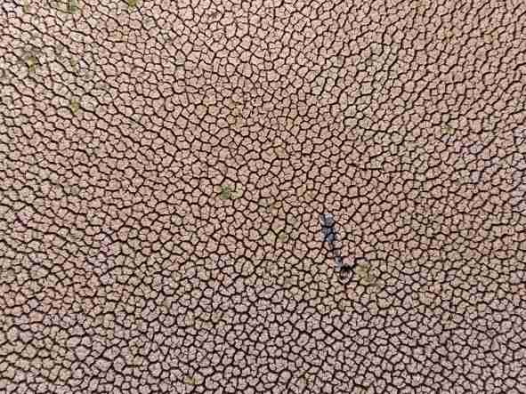 china drought heatwave 2022