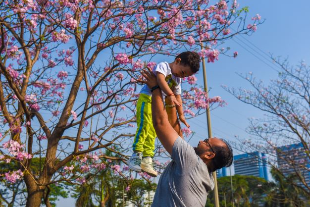 india expand family definition lgbtq blended