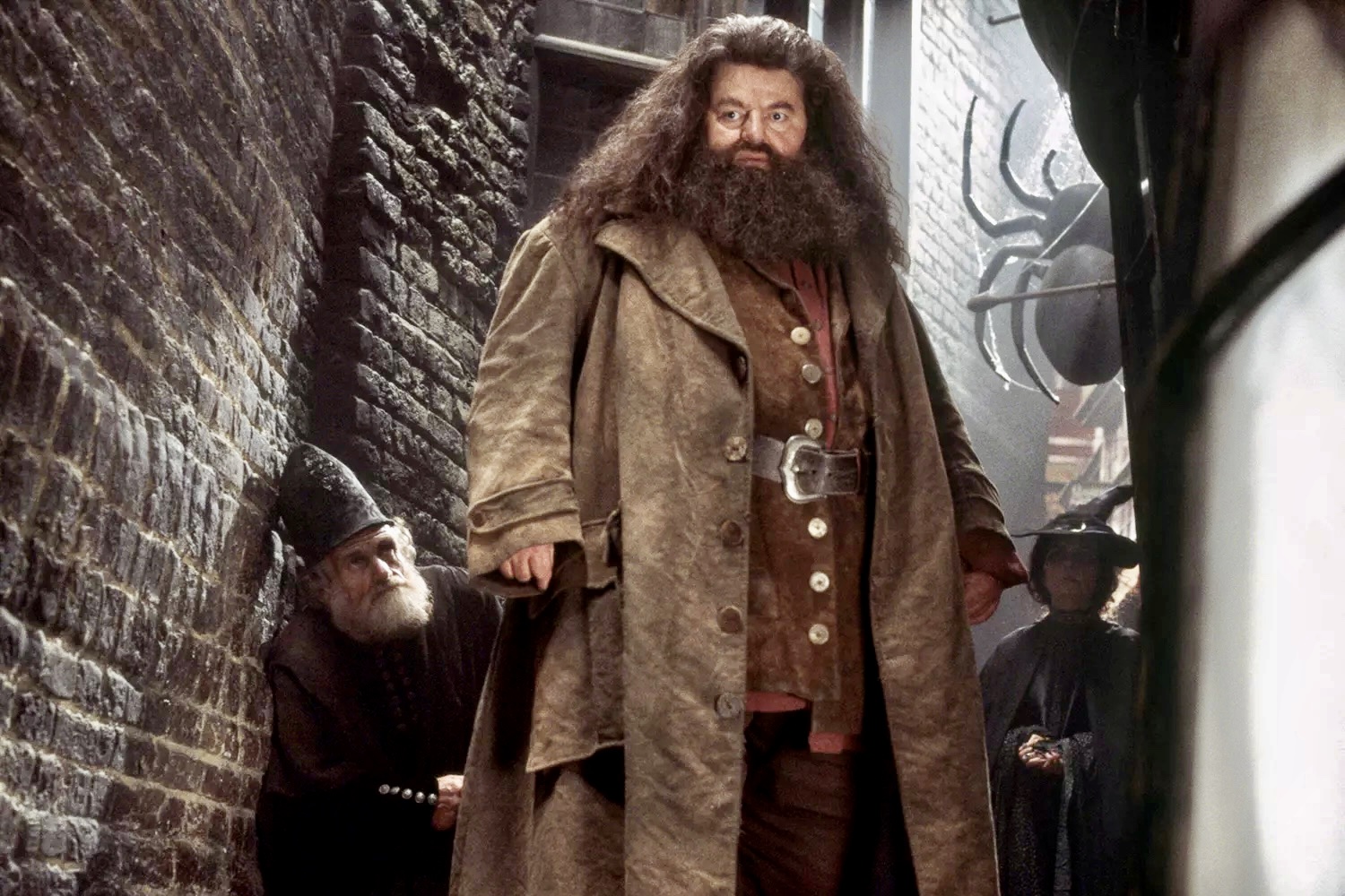 hagrid harry potter robbie coltrane