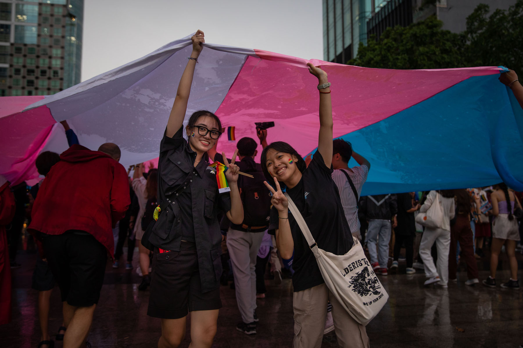 vietnam pride flag 2022