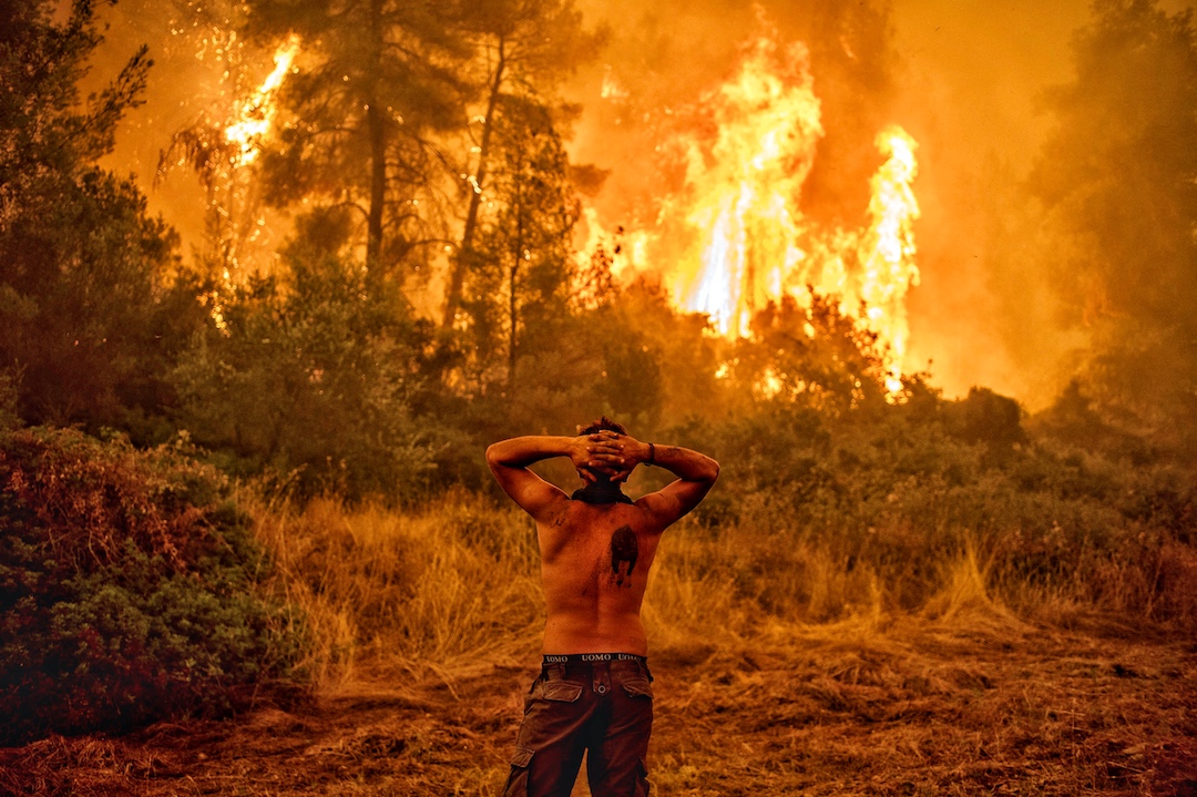 cop27 egypt climate change wildfires