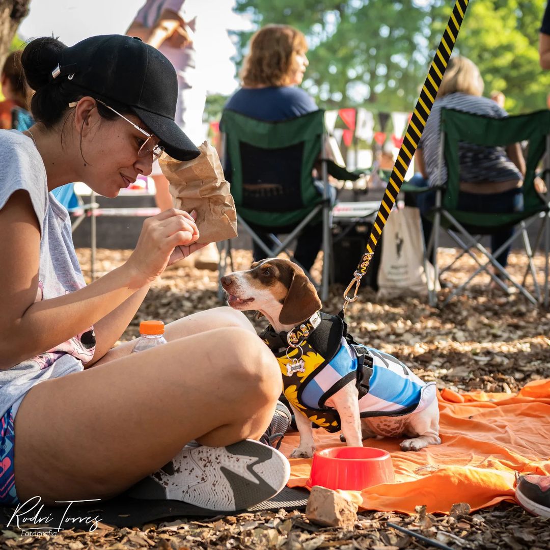 Missing Argentine woman, Cecilia Strzyzowski, plays with her dog