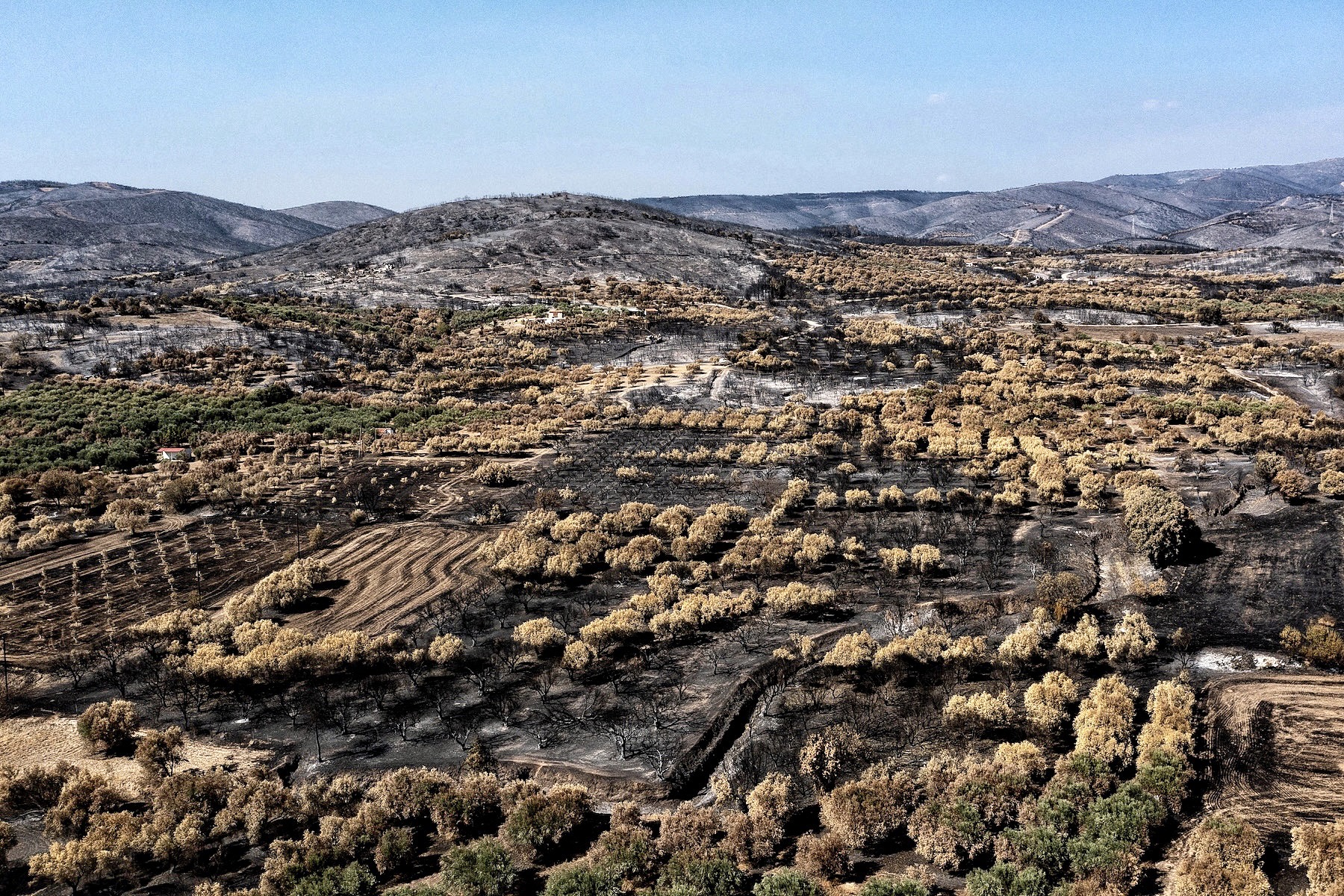 greece worst wildfires