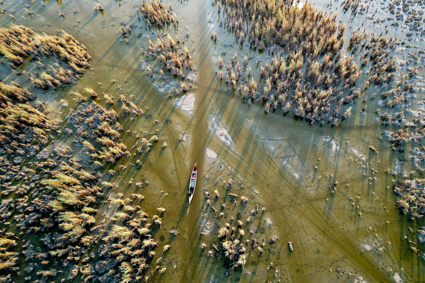  NASIRIYAH IRAQ droughts july