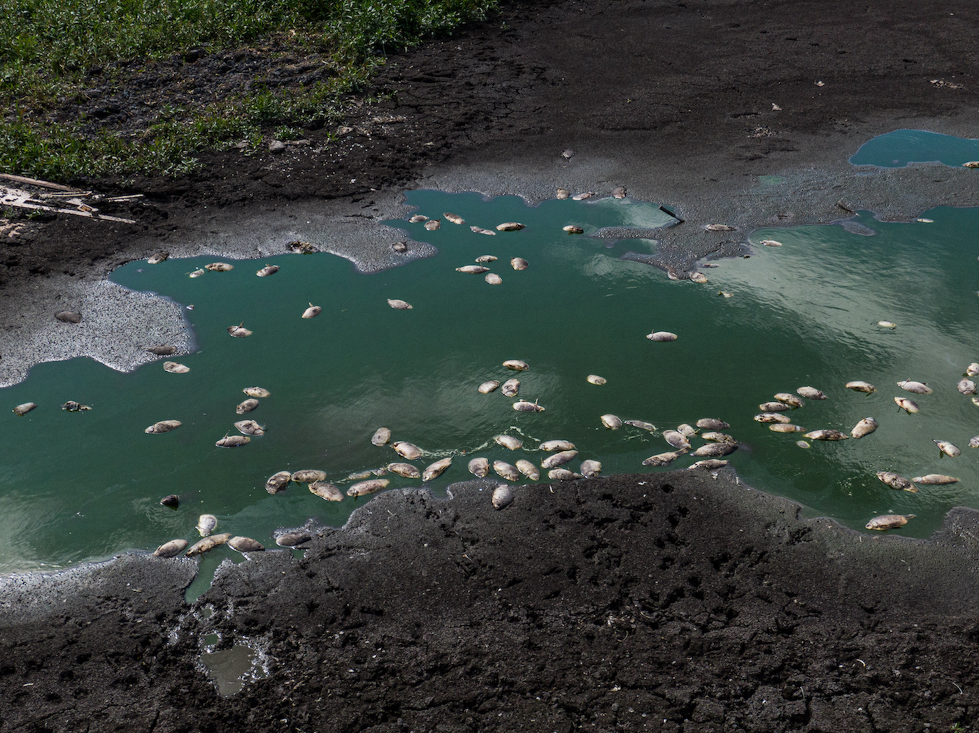 poland droughts july