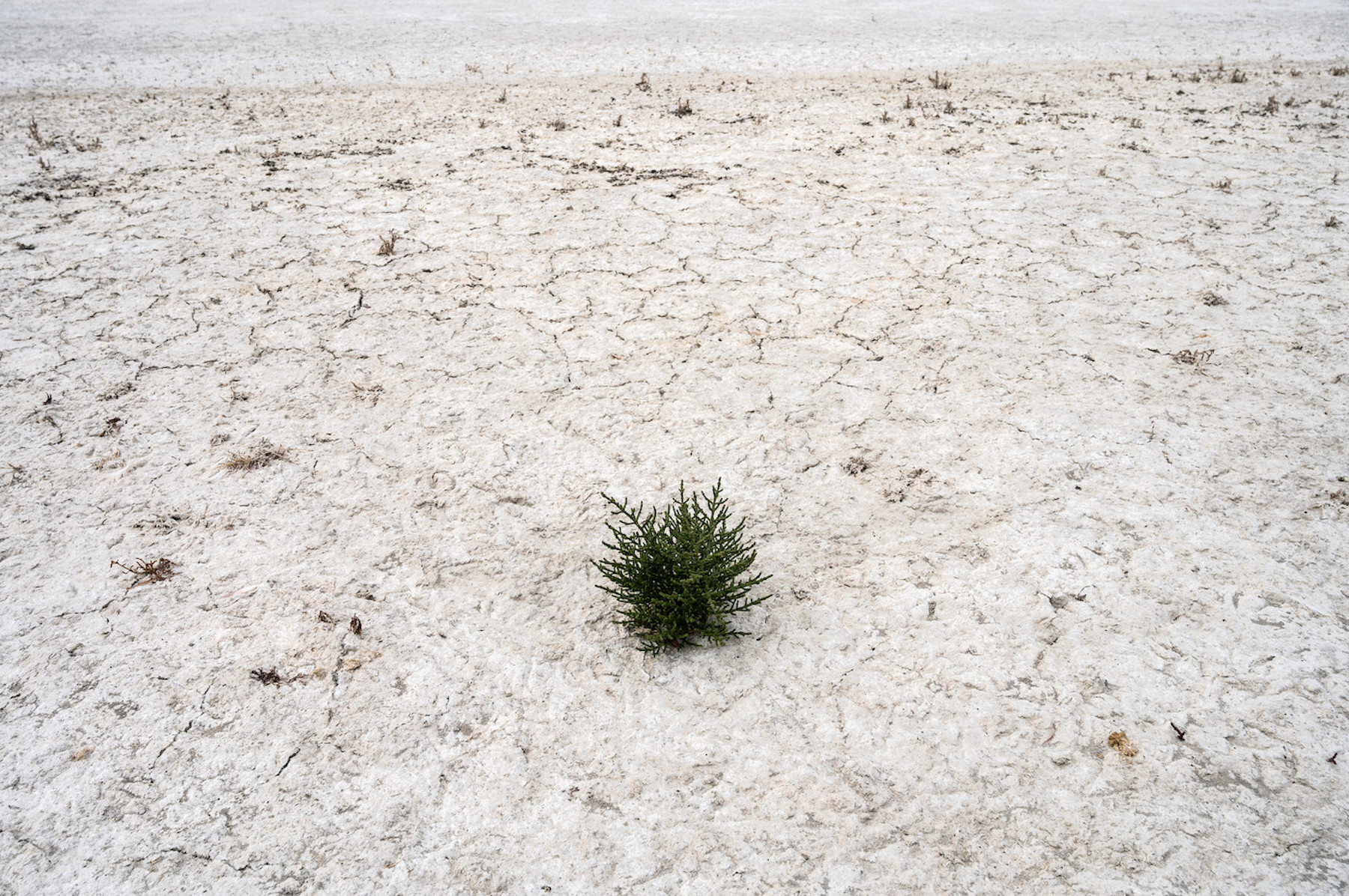 spain Catalonia droughts july