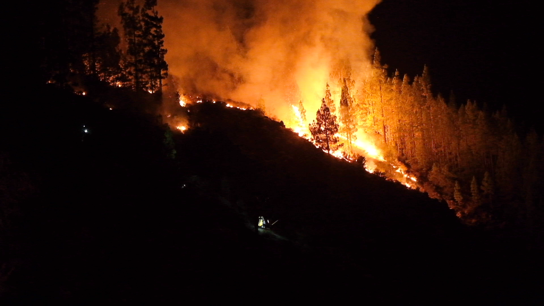 Spain Tenerife wildfire