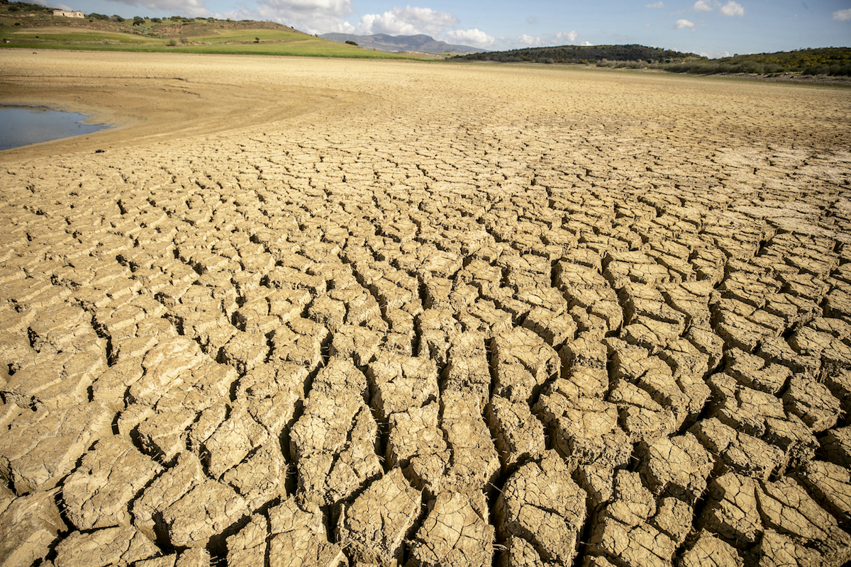 TUNISIA drought july