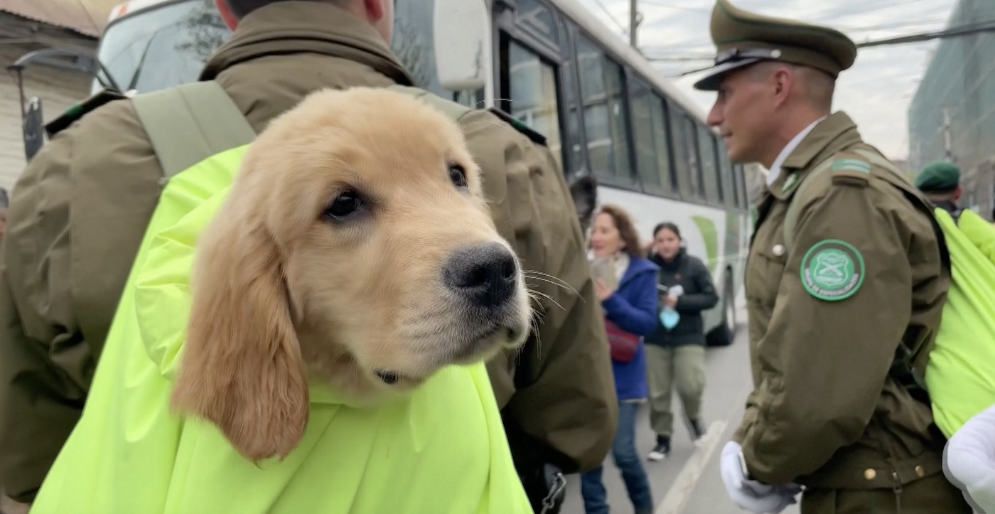 2023 chile dogs independence parade