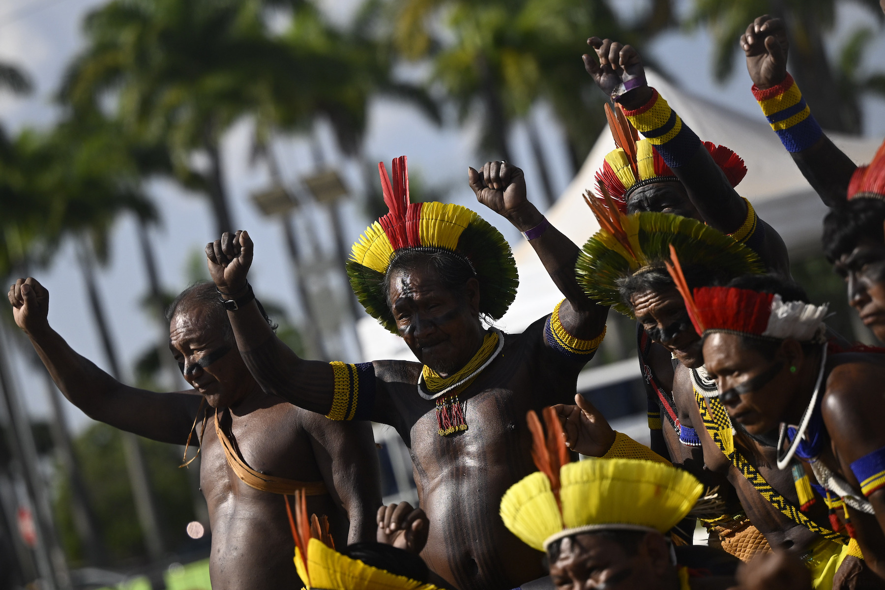 brazil indigenous xokleng land