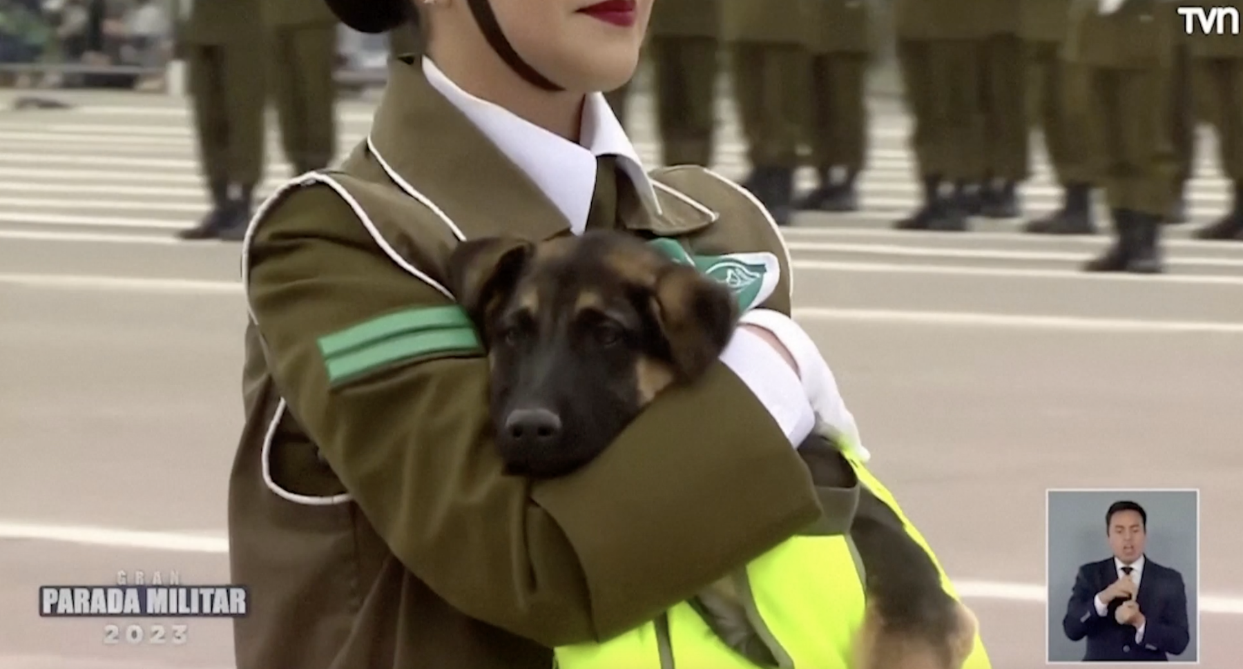 chile dogs officers independence parade 2023