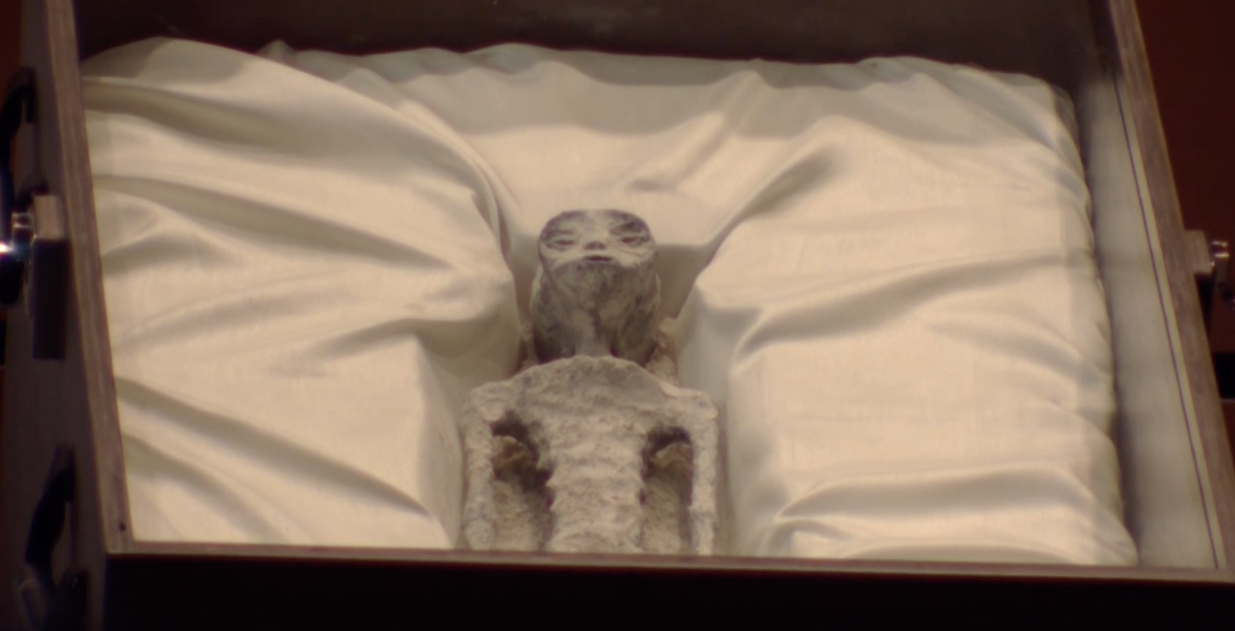 mexico ufo aliens Jaime Maussan