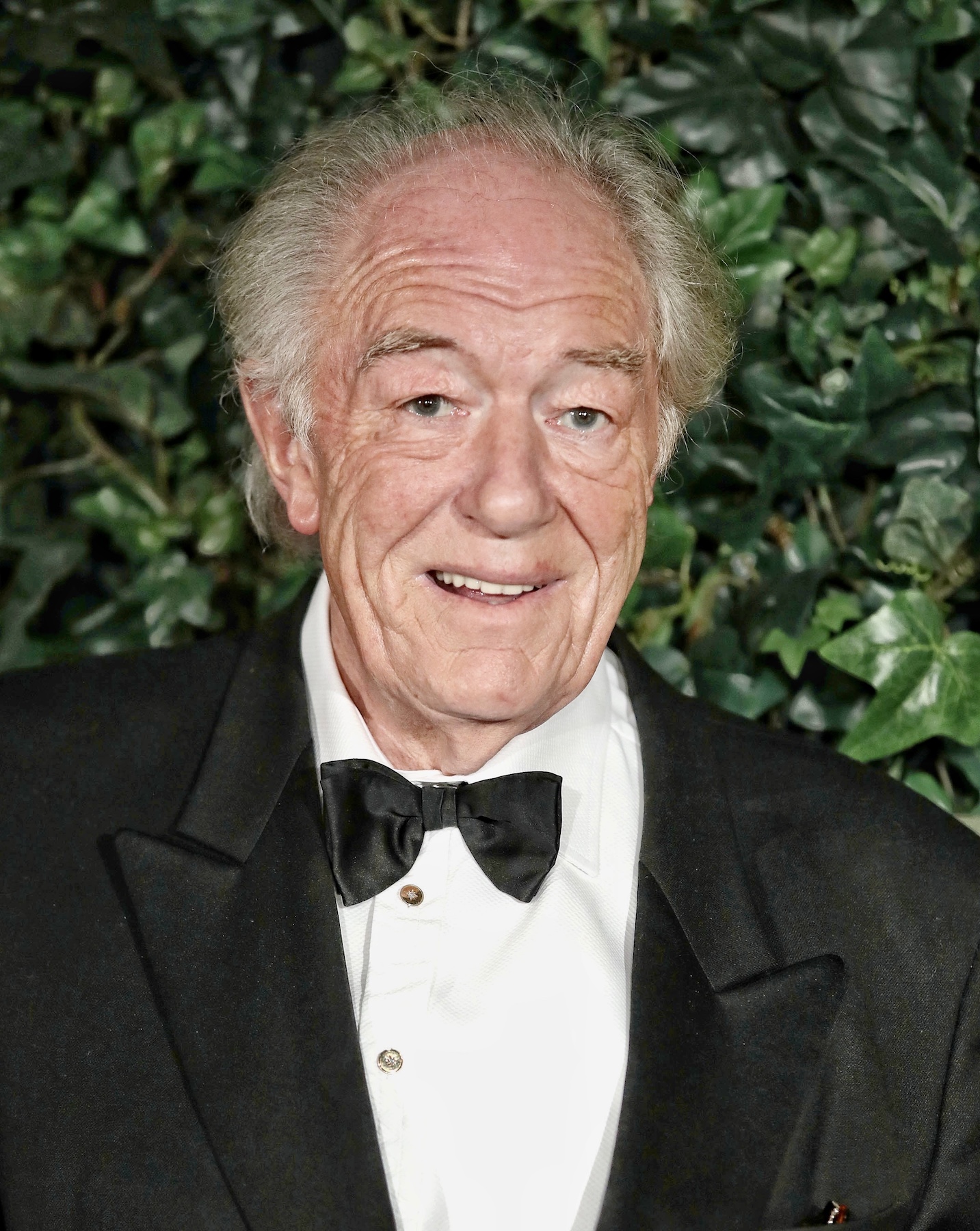 michael gambon