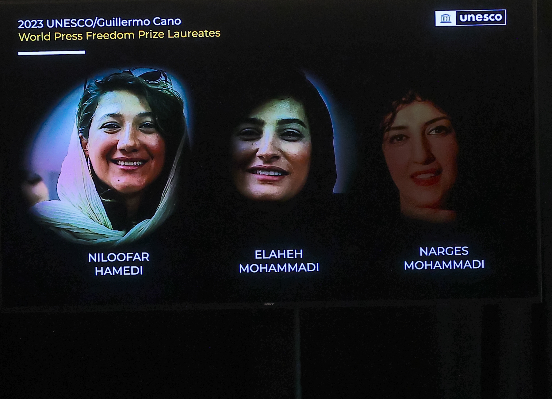 Niloofar Hamedi Elaheh Mohammadi and Narges Mohammadi iran journalists
