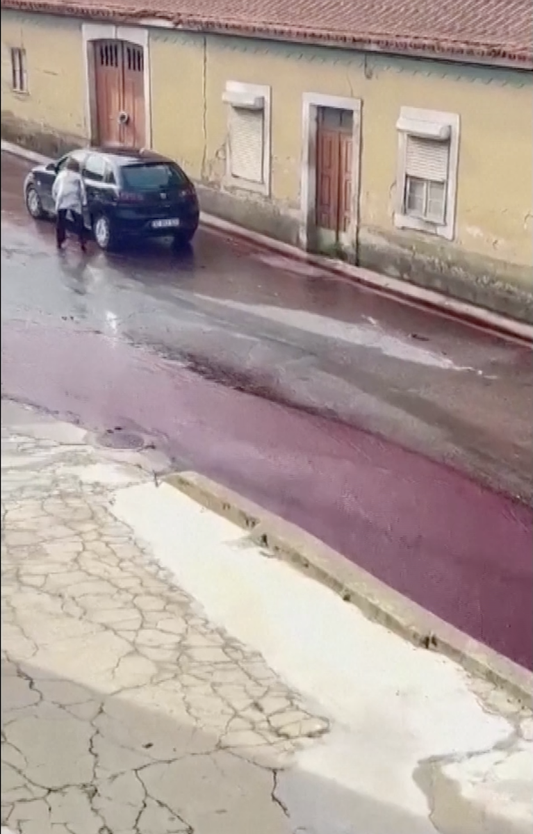portugal São Lourenço de Bairro wine spill