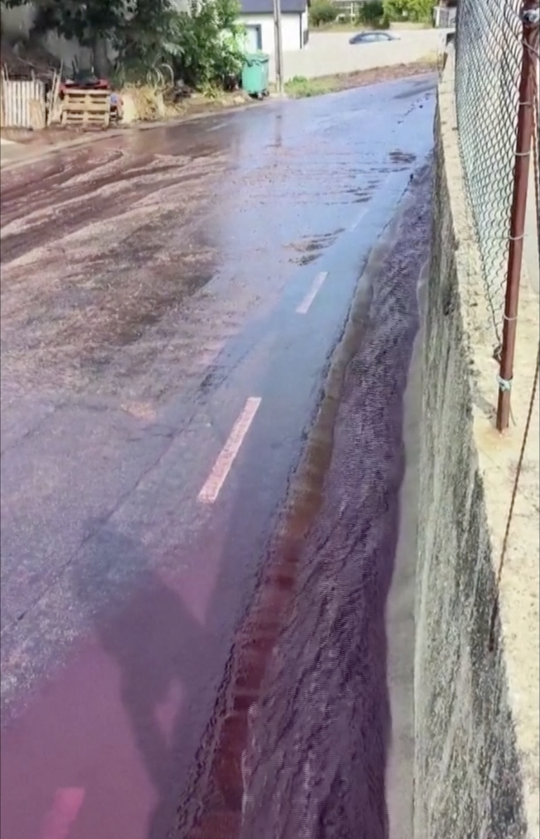 São Lourenço de Bairro wine spill portugal