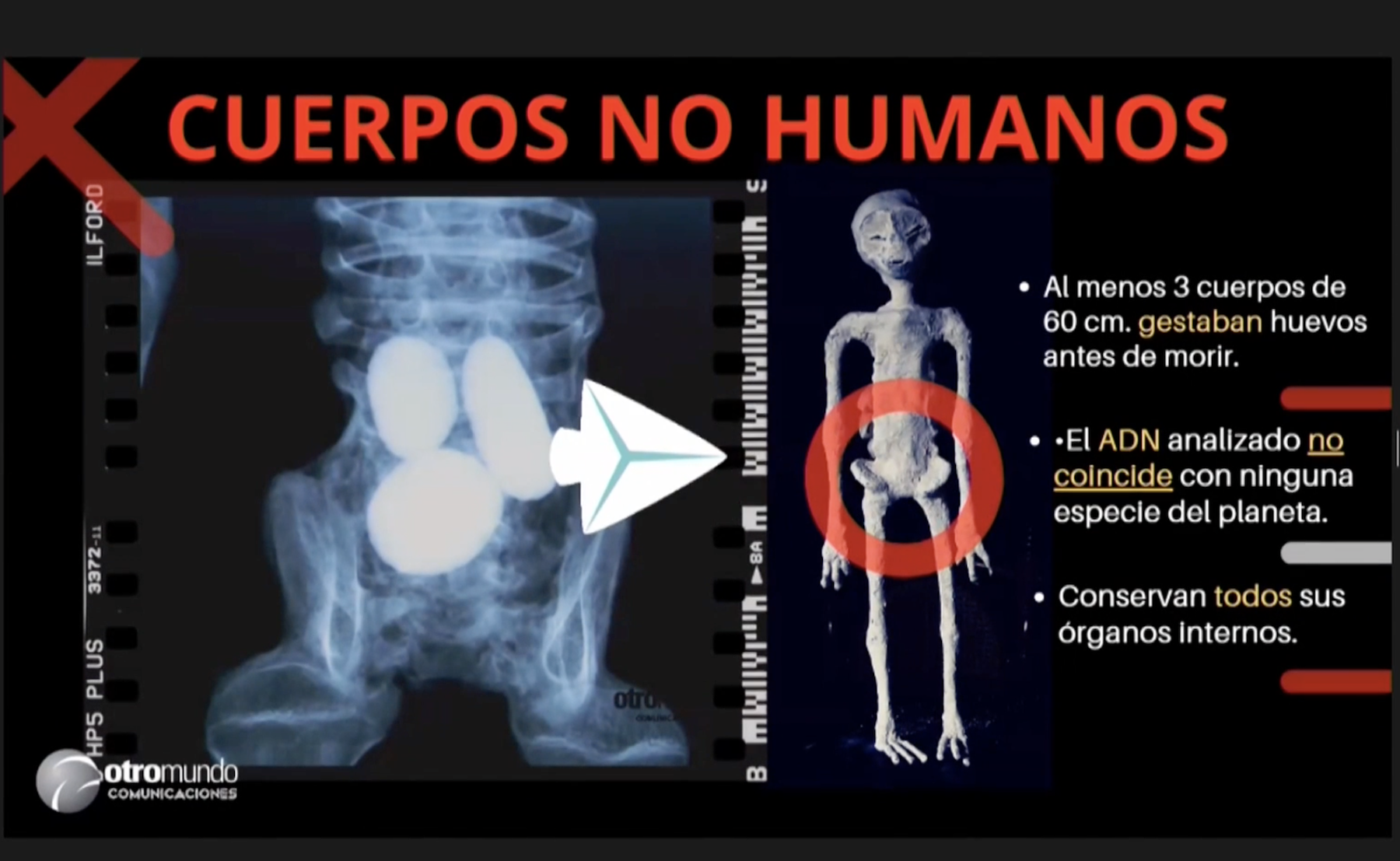 ufo evidence aliens jaime maussan mexico