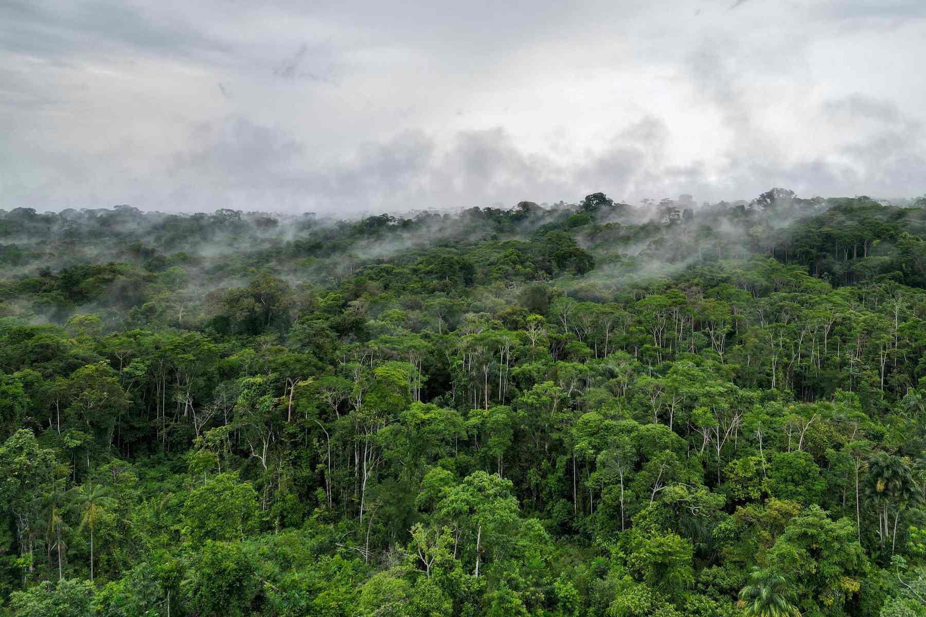 Waorani indigenous community yasuni national park