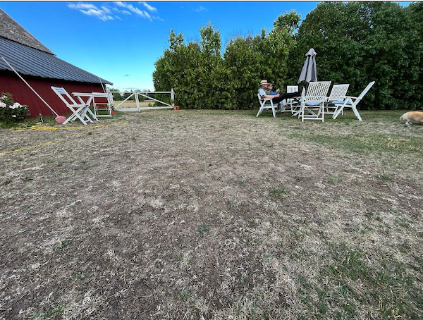 2023 gotland of sweden ugliest contest