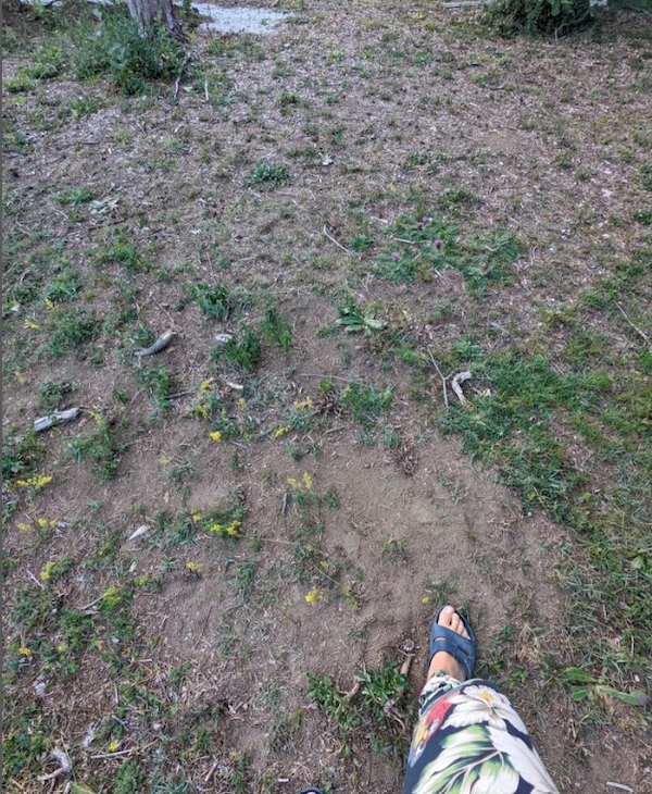 2023 sweden ugliest lawn contest