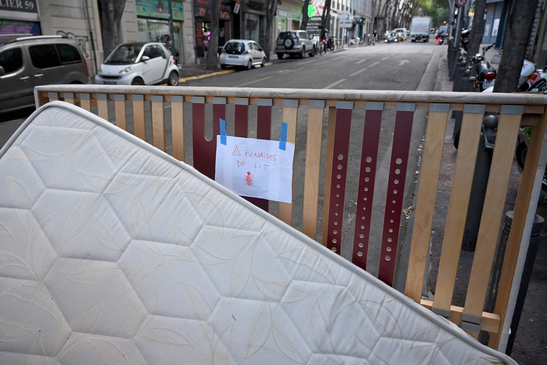 bedbugs on the mattress paris france