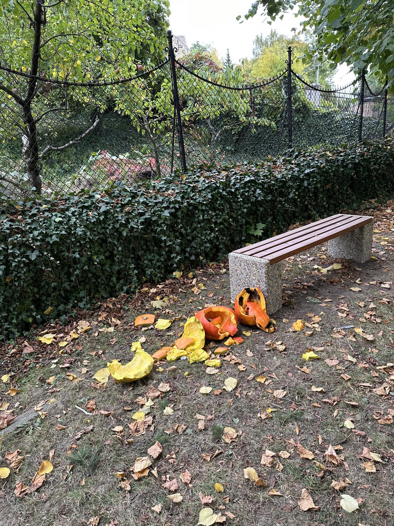 czech priest apology after smashing pumpkins