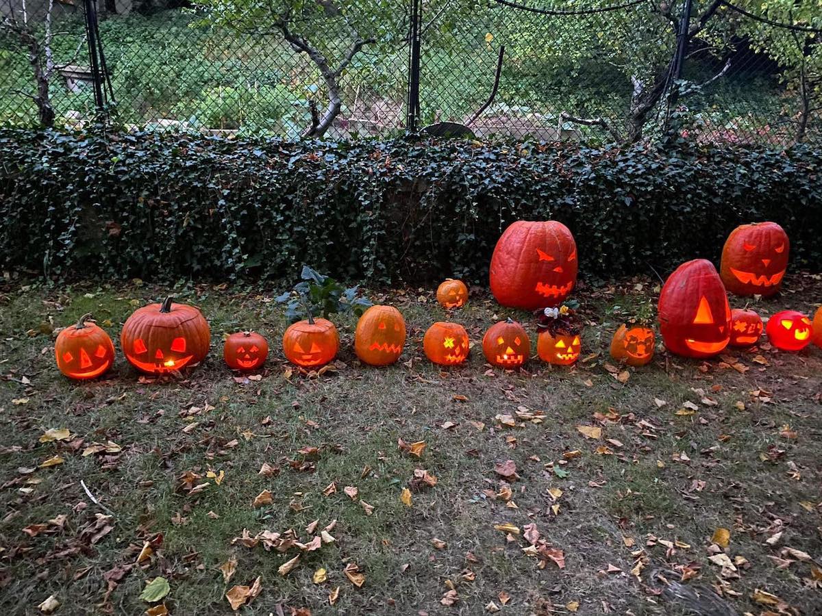  czecpumpkins being smashed halloween satanic apology