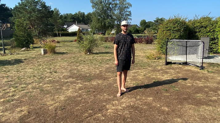 gotland sweden ugliest lawn contest 2023