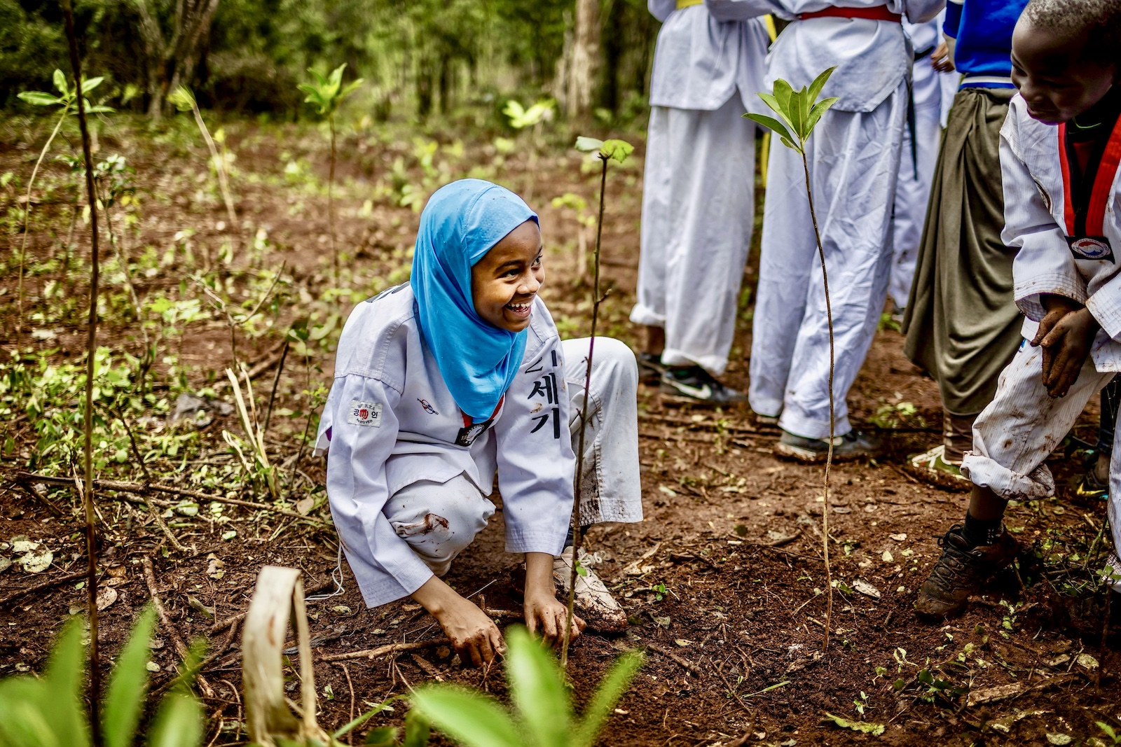 kenya tree planting public holiday in Nairobi