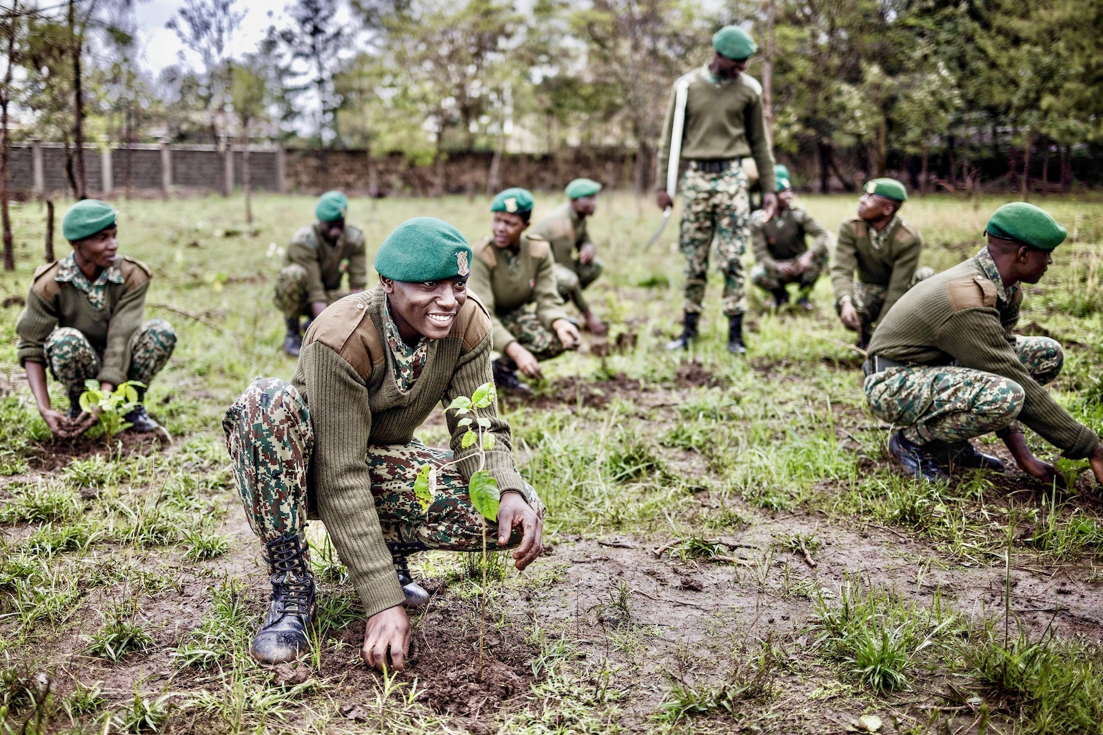 nationwide tree planting public holiday in Nairobi kenya