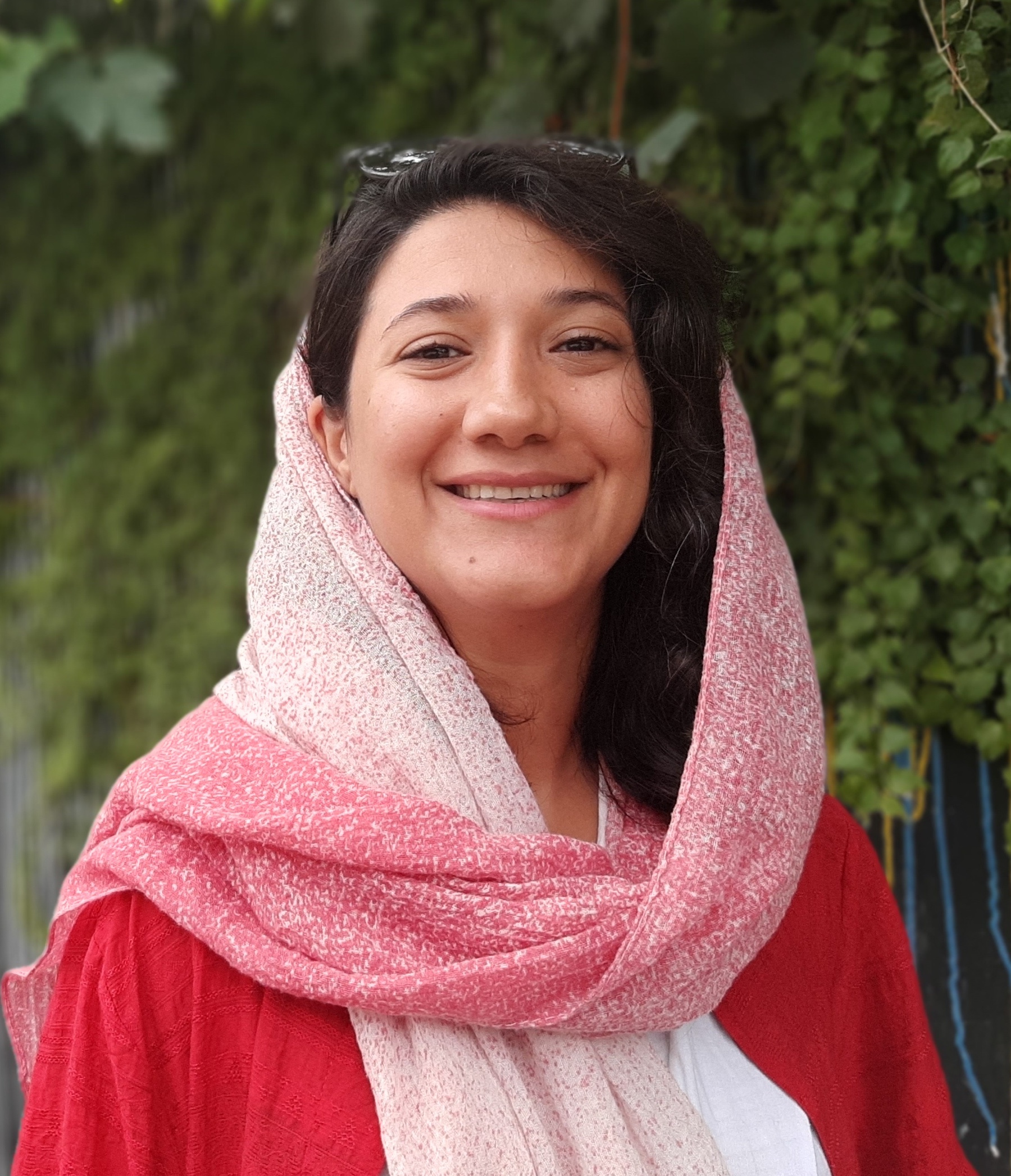niloofar hamedi elaheh mohammadi journalists freed mahsa amini