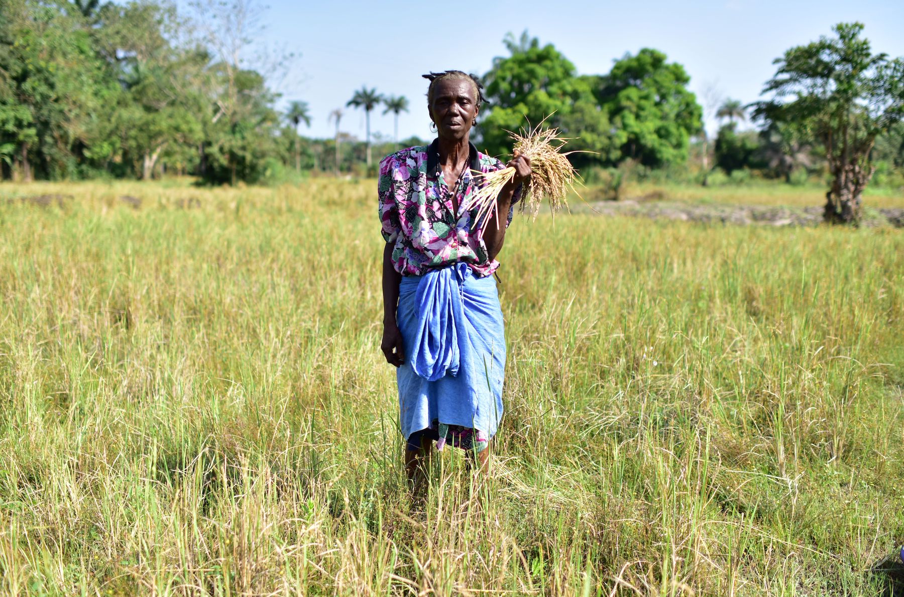 3 teenage girls die in Sierra Leone while undergoing FGM
