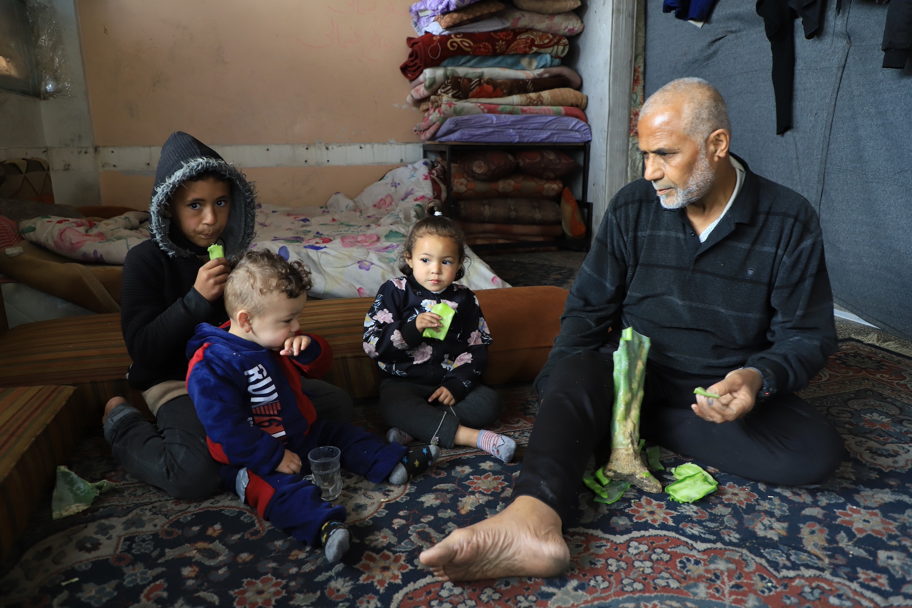 Oweida family eat cactus leaves gaza israel war
