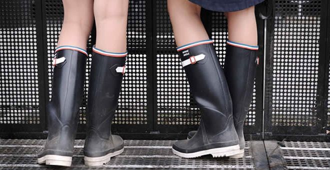 aigle