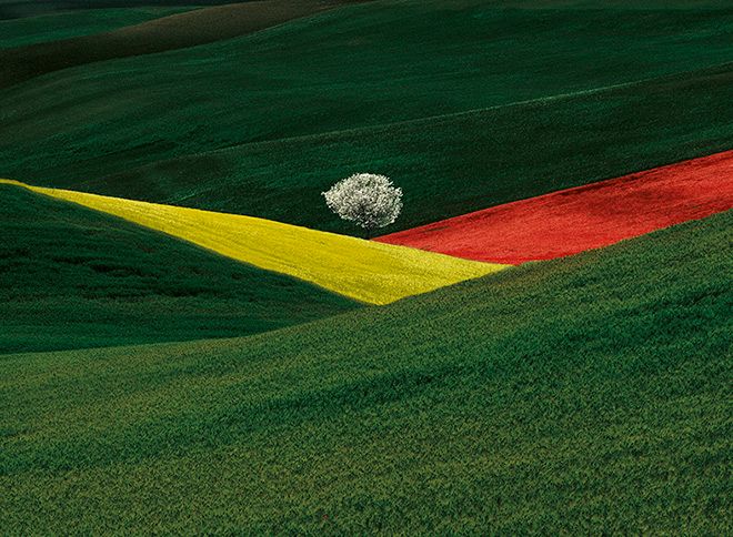 Franco Fontana: less is more