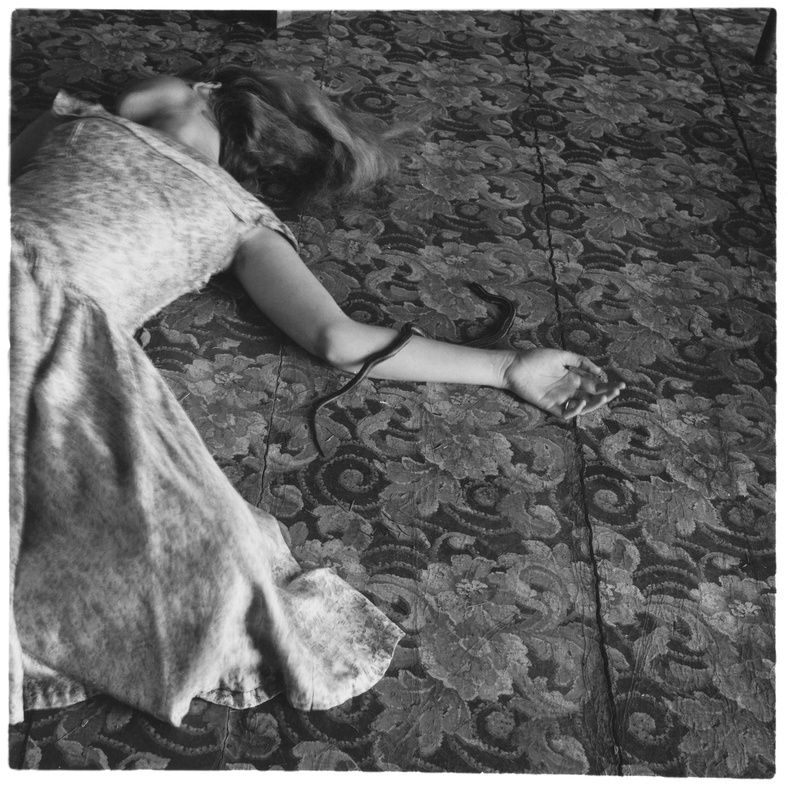 fw522 untitled-providence-ri-risd- 1975-78-p.105-