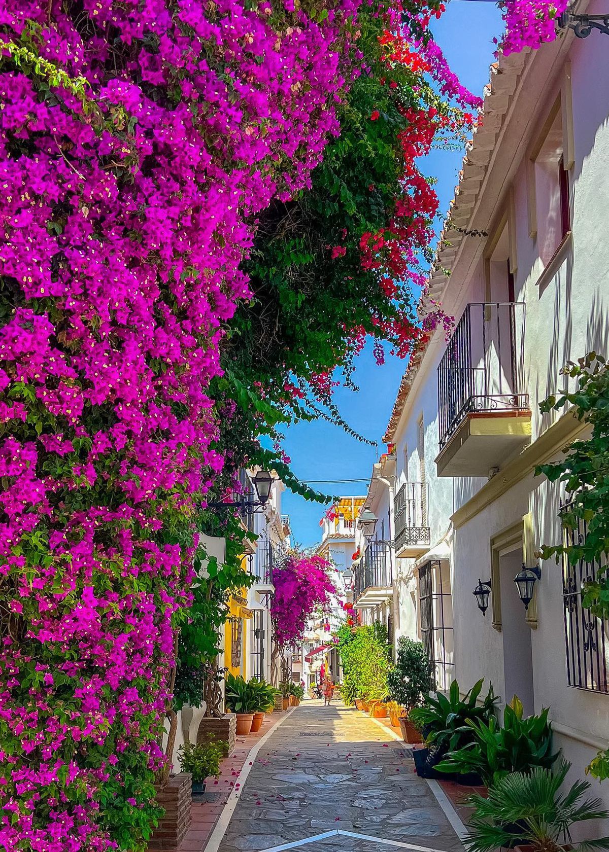 Marbella: Tech Multimillionaires' Home Sweet Home